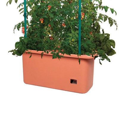 Hydrofarm 10 Gal Tomato Trellis Self Watering Grow System on Wheels (3 Pack) - VMInnovations