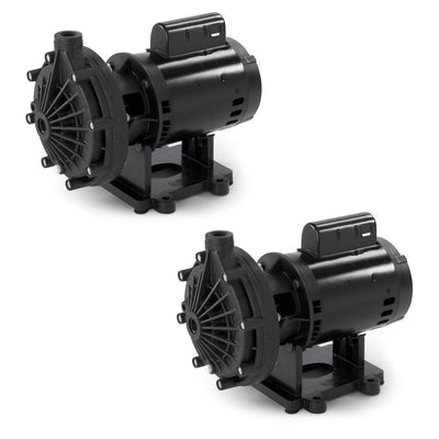 Pentair InGround Swimming Pool Booster Pump 3/4 Hp Cleaner Universal (2 Pack)