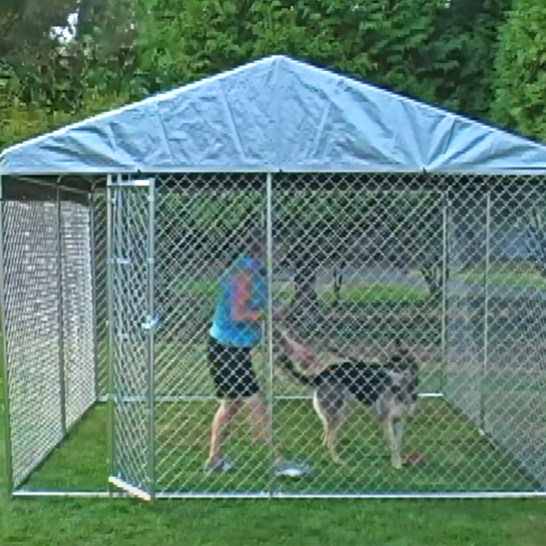 Lucky Dog 10 x 10 Ft Outdoor Steel Chain Link Dog Kennel & Waterproof Roof Cover