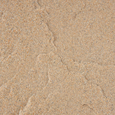 Algreen Receptacle Rock Decorative Outdoor Garden Accent Sandstone (2 Pack)