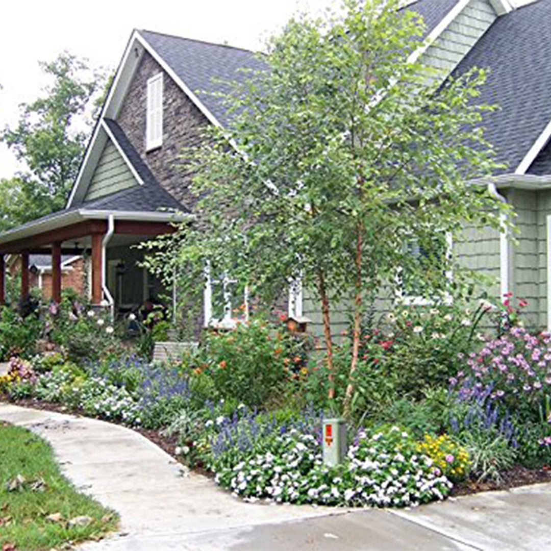 Algreen Rock Cover Decorative Garden Accent, Dark Granite (Open Box) (2 Pack) - VMInnovations