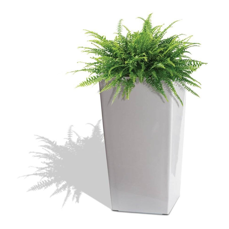 Algreen Modena Square Self-Watering Planter With Water Level Guide, Glossy White