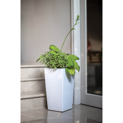 Algreen Modena Square Self-Watering Planter, Glossy White (Open Box)