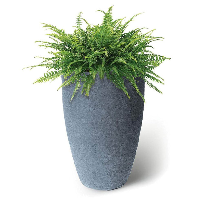 Algreen Products Athena Self-Watering Flower Pot and Planter, Charcoal (Used)