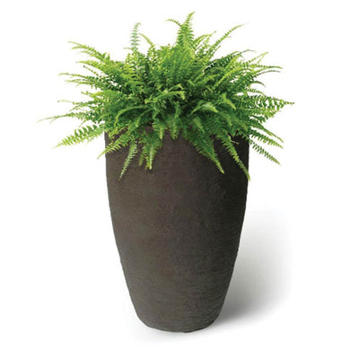 Algreen Products 87311 Athena 20.5" Self Watering Plastic Planter, Brownstone - VMInnovations