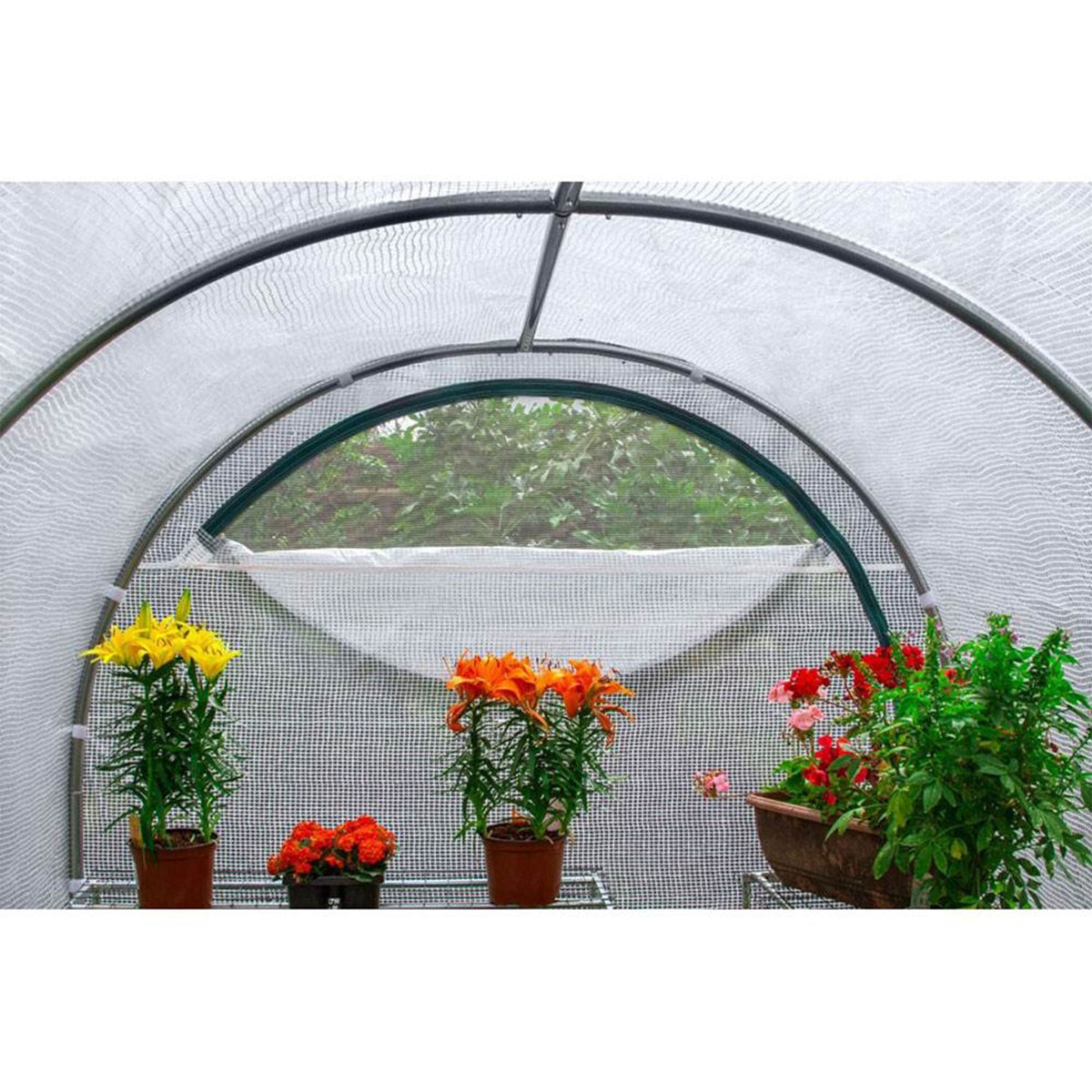 True Shelter GH68 6 x 8 Foot Portable Steel Frame & Polyethylene Greenhouse Kit