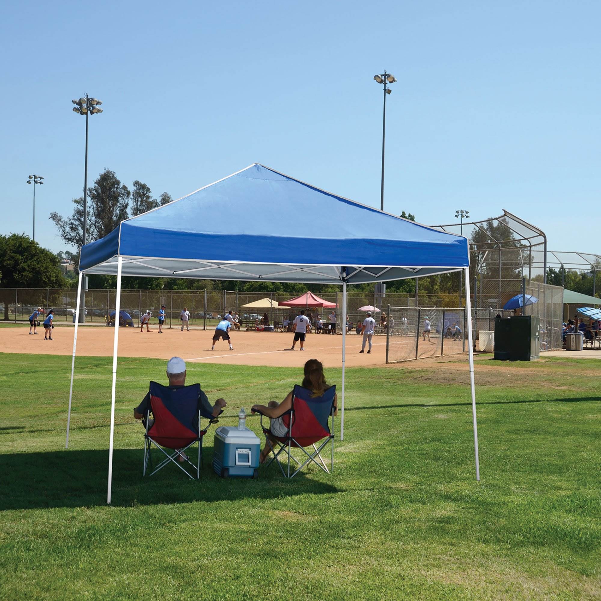 Z-Shade 10 x 10 Foot Instant Pop Up Canopy Tent w/ Steel Stakes & Weight Bags