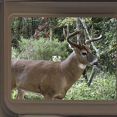 Browning Spec Ops Advantage Hunting Trail Game Camera (2 Pack) and 16GB SD Card