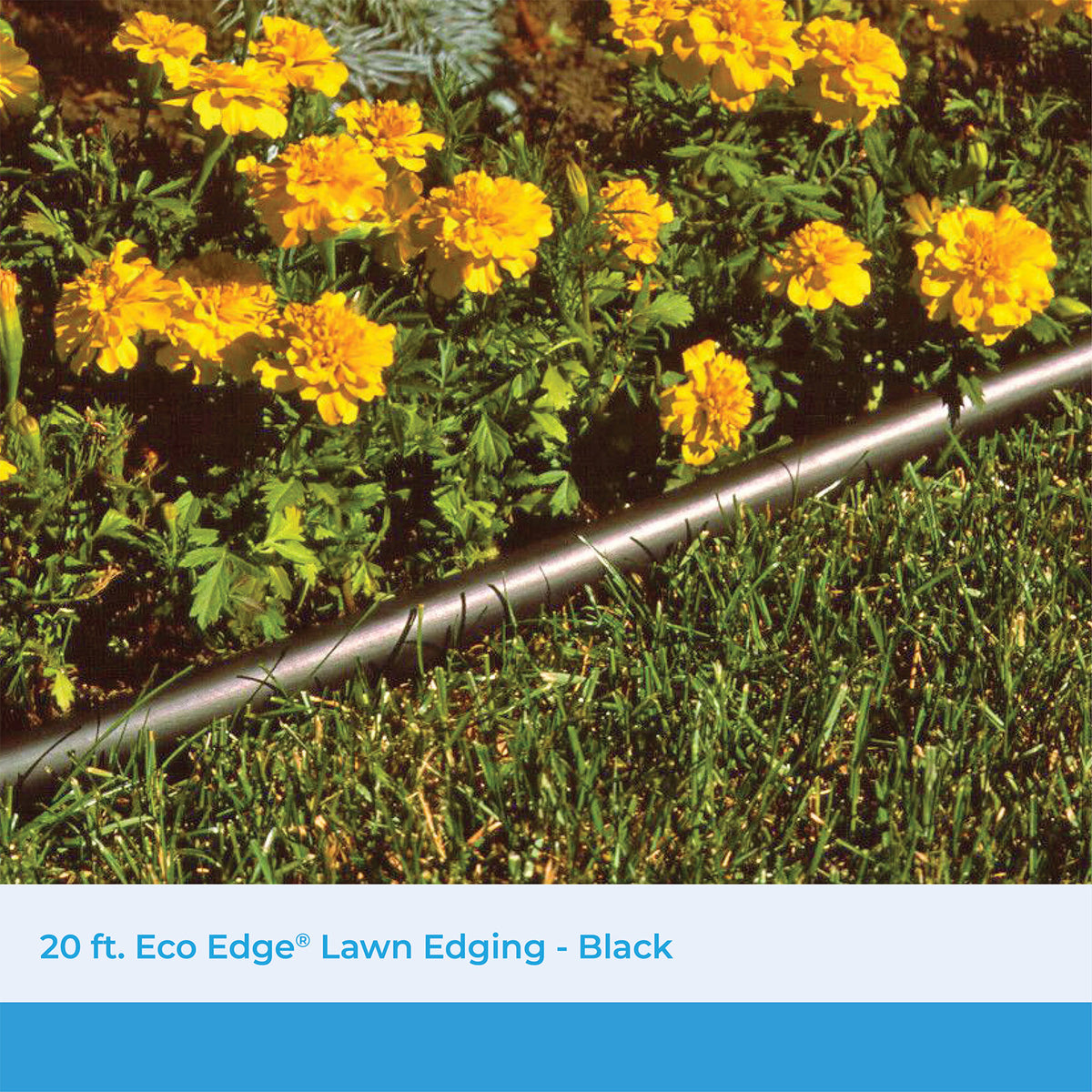 Suncast 5 Eco Edge 20 Foot Plastic Coiled Edging Roll with 2 Connectors, 5 inch