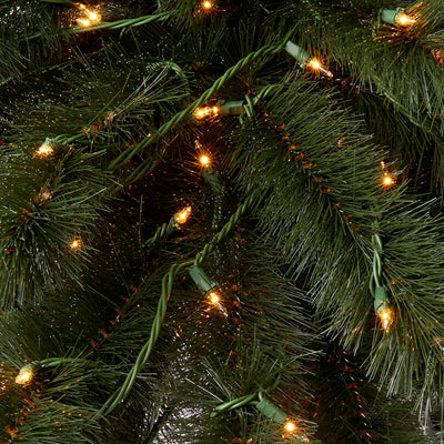 Home Heritage 6 Foot Double Pre Lit Palm Trees with 255 Lights (Used)