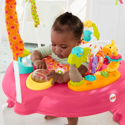 Fisher-Price Pink Petals Jumperoo w/360 Spinning Seat, Lights, and Sounds (Used)