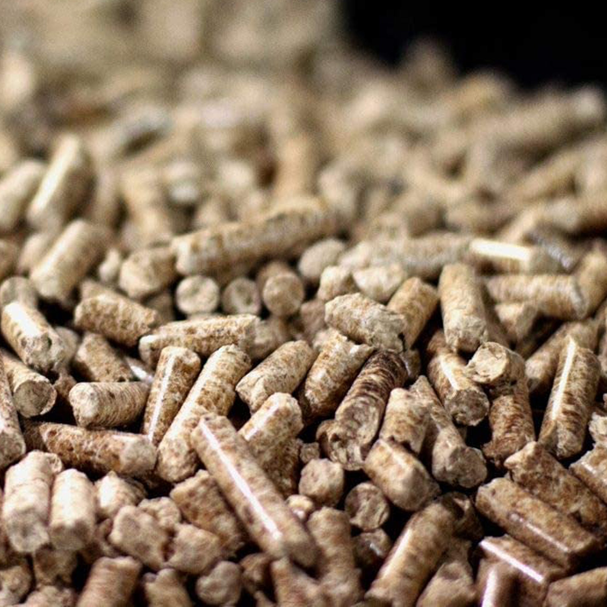Pit Boss Copperhead 3 Series Wood Pellet Vertical Smoker & 40 Lb Hickory Pellets