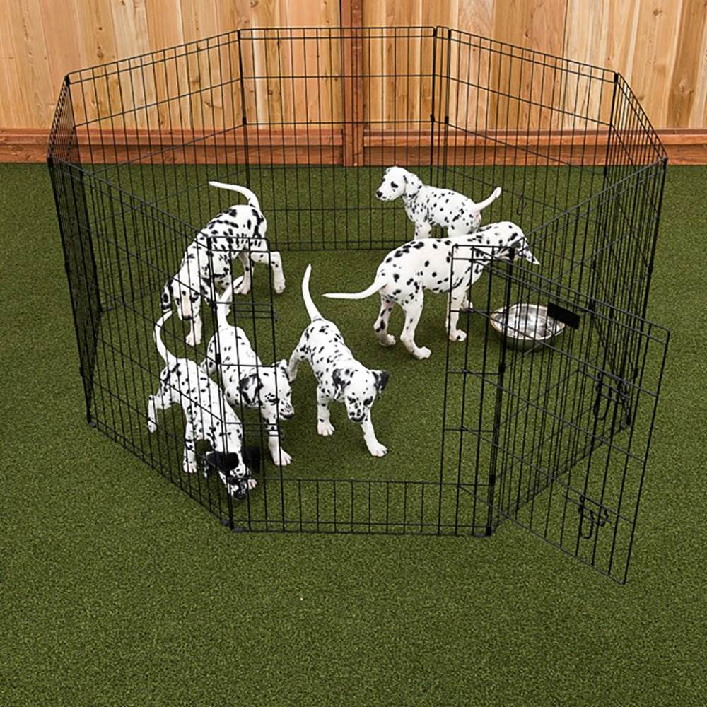 Lucky Dog Modular Pet Portable Exercise Puppy Play Pen, 36 inches (Used)