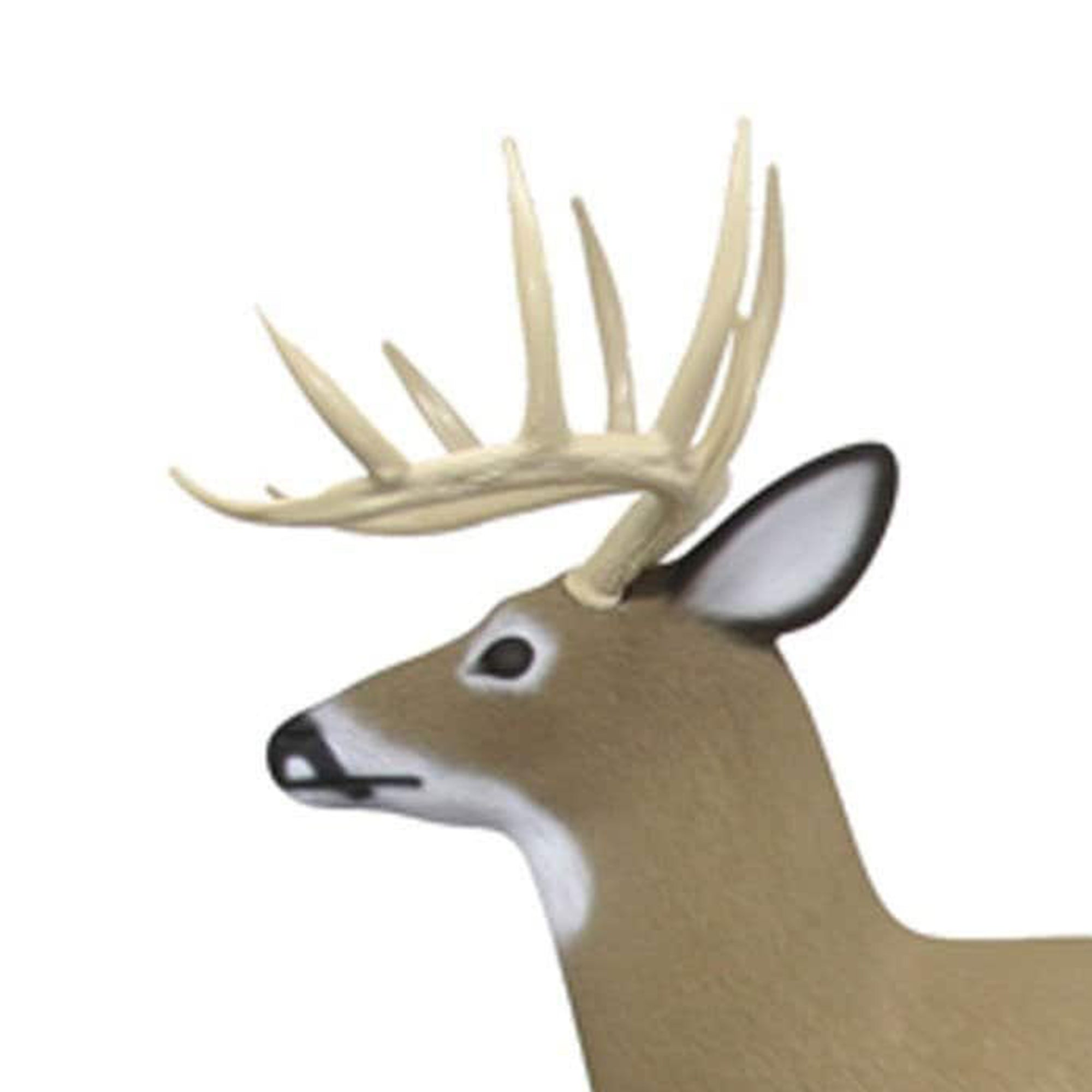 Shooter 3D G71600 Buck Shooting Archery Outdoor Hunting Realistic Foam Target