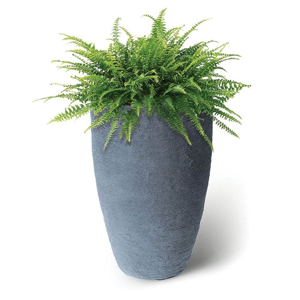 Algreen Products Athena Self-Watering Flower Pot and Planter, Charcoal (2 Pack) - VMInnovations