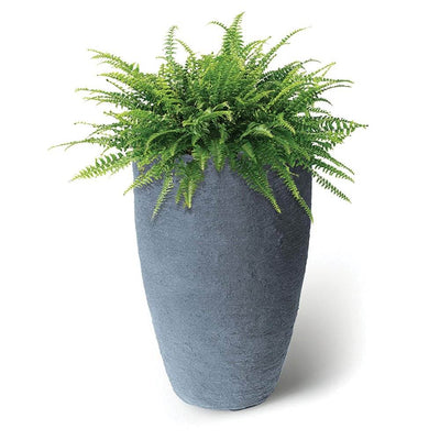 Algreen Products Athena Self-Watering Flower Pot and Planter, Charcoal (2 Pack) - VMInnovations