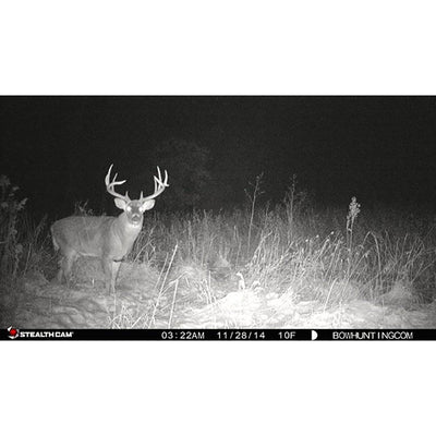 Stealth Cam 10MP Trail Camera (6 Pack) & SanDisk 16GB SD Memory Card (6 Pack) - VMInnovations