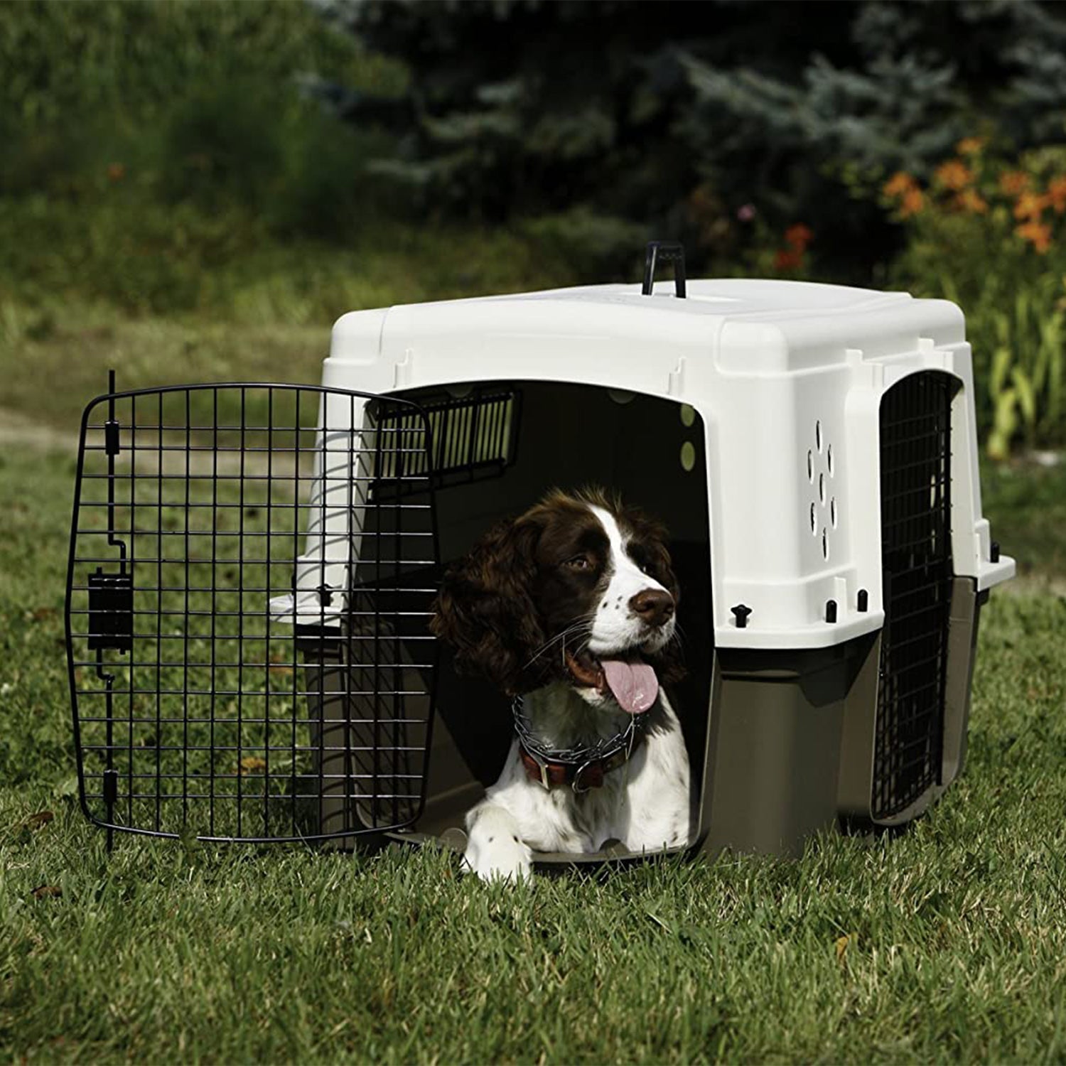 Miller Manufacturing Double Door Dog & Pet Travel Kennel Crate, Brown (Open Box) - VMInnovations