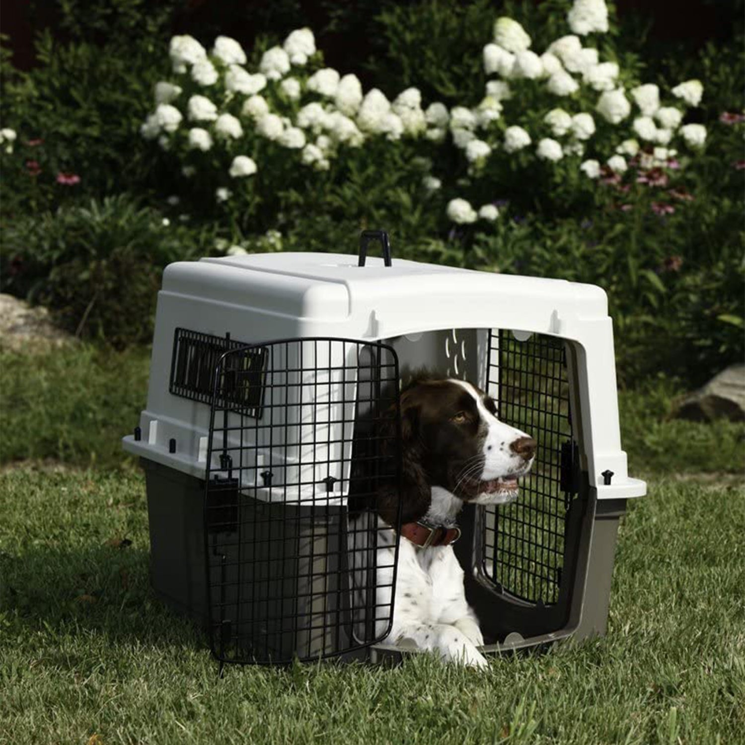 Miller Manufacturing Double Door Dog & Pet Travel Kennel Crate, Brown (Open Box) - VMInnovations