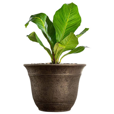 HC Companies 13" Width Sierra Planter Nordic Bronze Plastic Planter (Open Box) - VMInnovations