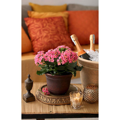 HC Companies 13" Width Sierra Planter Nordic Bronze Plastic Planter (Open Box) - VMInnovations