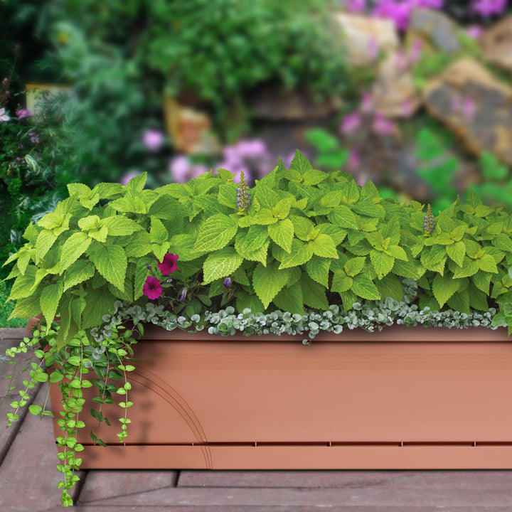 Southern Patio 36 Inch Medallion Hanging Garden Box Planter, Terracotta (2 Pack)