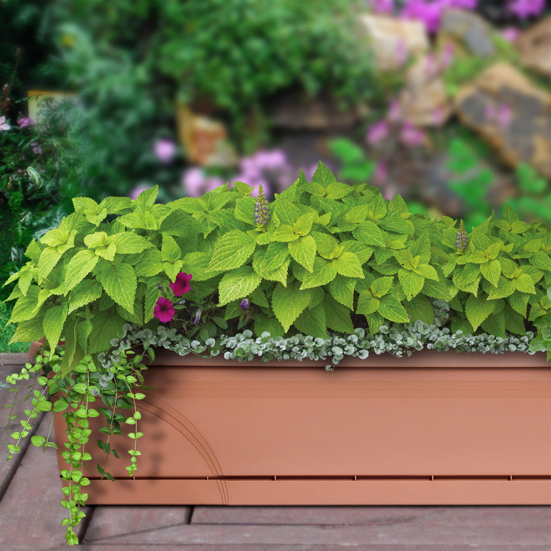 Southern Patio 36 In Medallion Hanging Windowsill Garden Box Planter, Terracotta