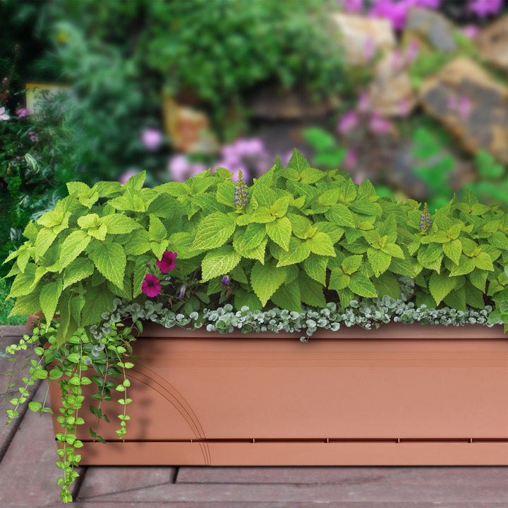 Southern Patio 36 In Medallion Hanging Windowsill Garden Box Planter, Terracotta