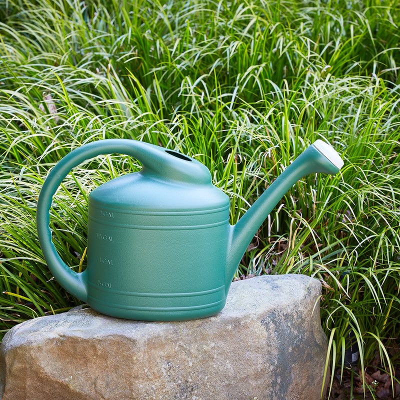 Southern Patio Large 2 Gallon Plastic Rainfall Garden Plant Watering Can (Used)