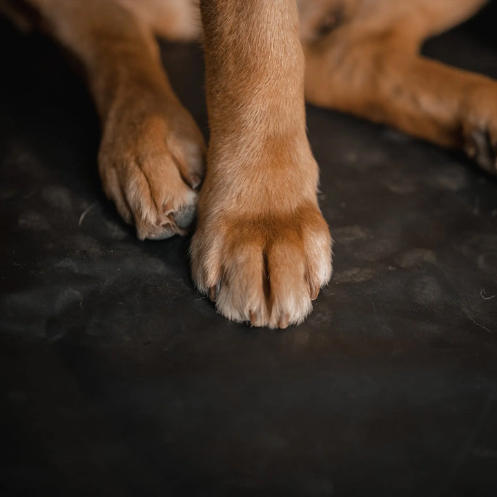 XG Cargo XG-302 Jeep Wrangler JK Sportsman Floor Liner (Speaker in Floor), Black - VMInnovations