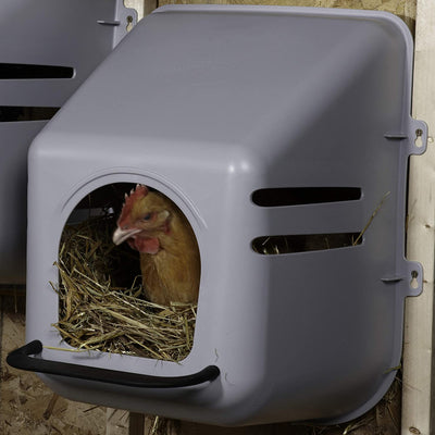 Little Giant Single Plastic Mountable Chicken Nesting Box w/Ventilation(OpenBox) - VMInnovations