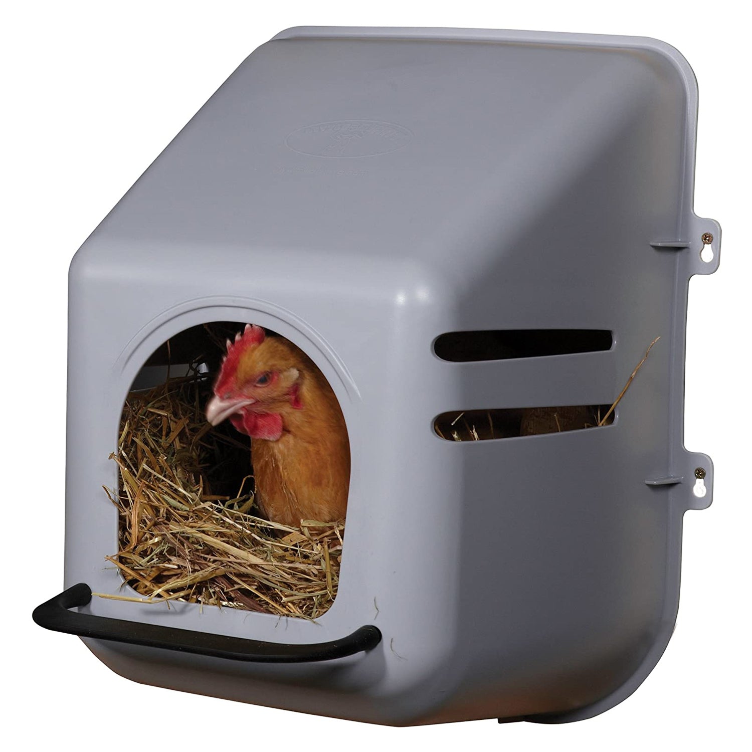 Little Giant Single Plastic Mountable Chicken Nesting Box w/Ventilation(OpenBox) - VMInnovations