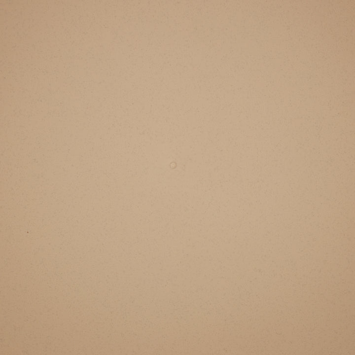 The HC Companies 21 Inch Planter Saucer for Classic Pots, Sandstone, 12 Pack - VMInnovations