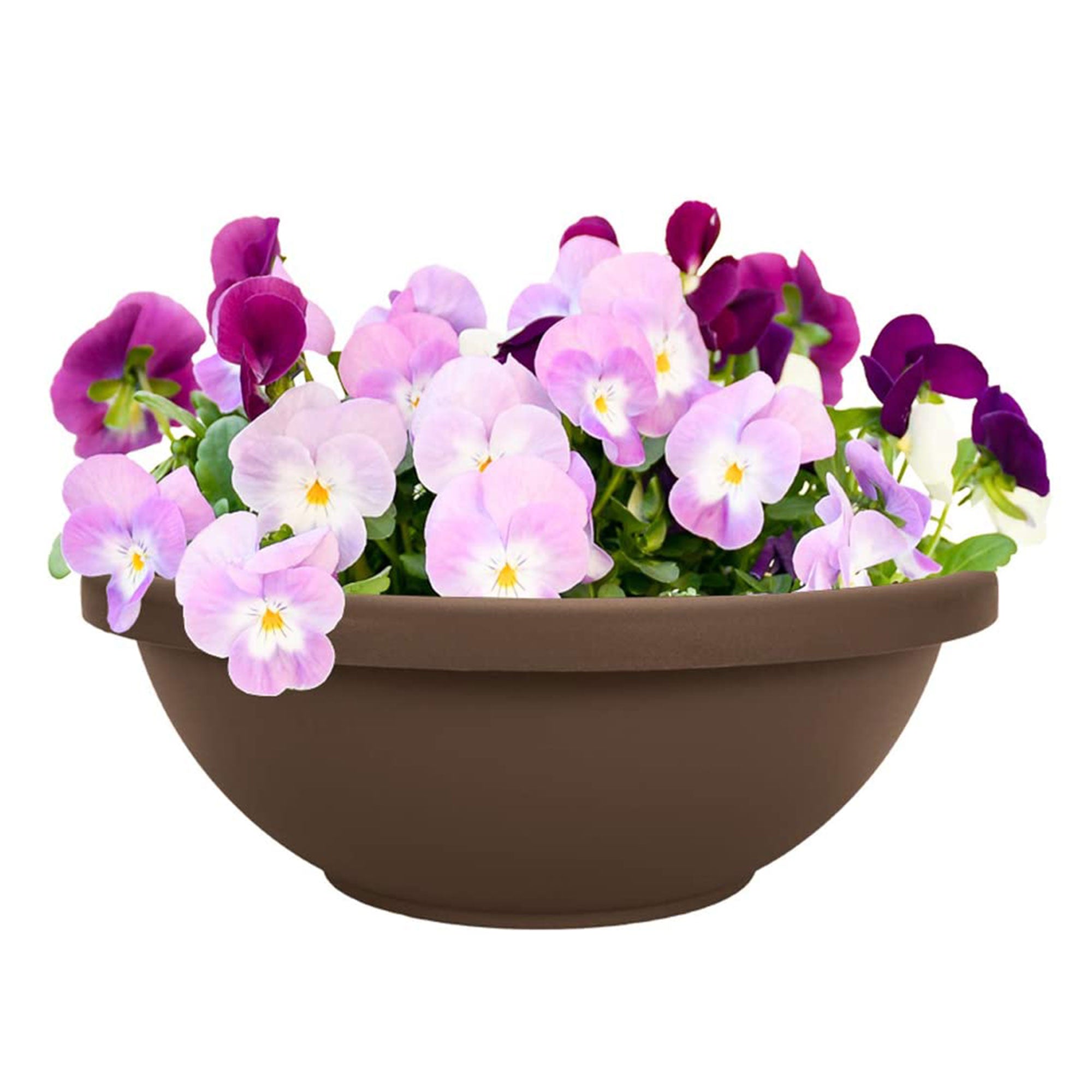 HC Companies 22 Inch Resin Garden Bowl Planter Pot, Chocolate Brown (2 Pack) - VMInnovations
