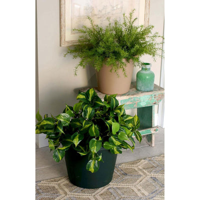 HC Companies LIA24000E35 24-Inch Plastic Round Classic Pot, Clay (Open Box)