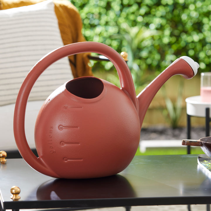 HC Companies RZ.WC2G0E35 2-Gallon Garden Large Mouth Watering Can, Terra Cotta