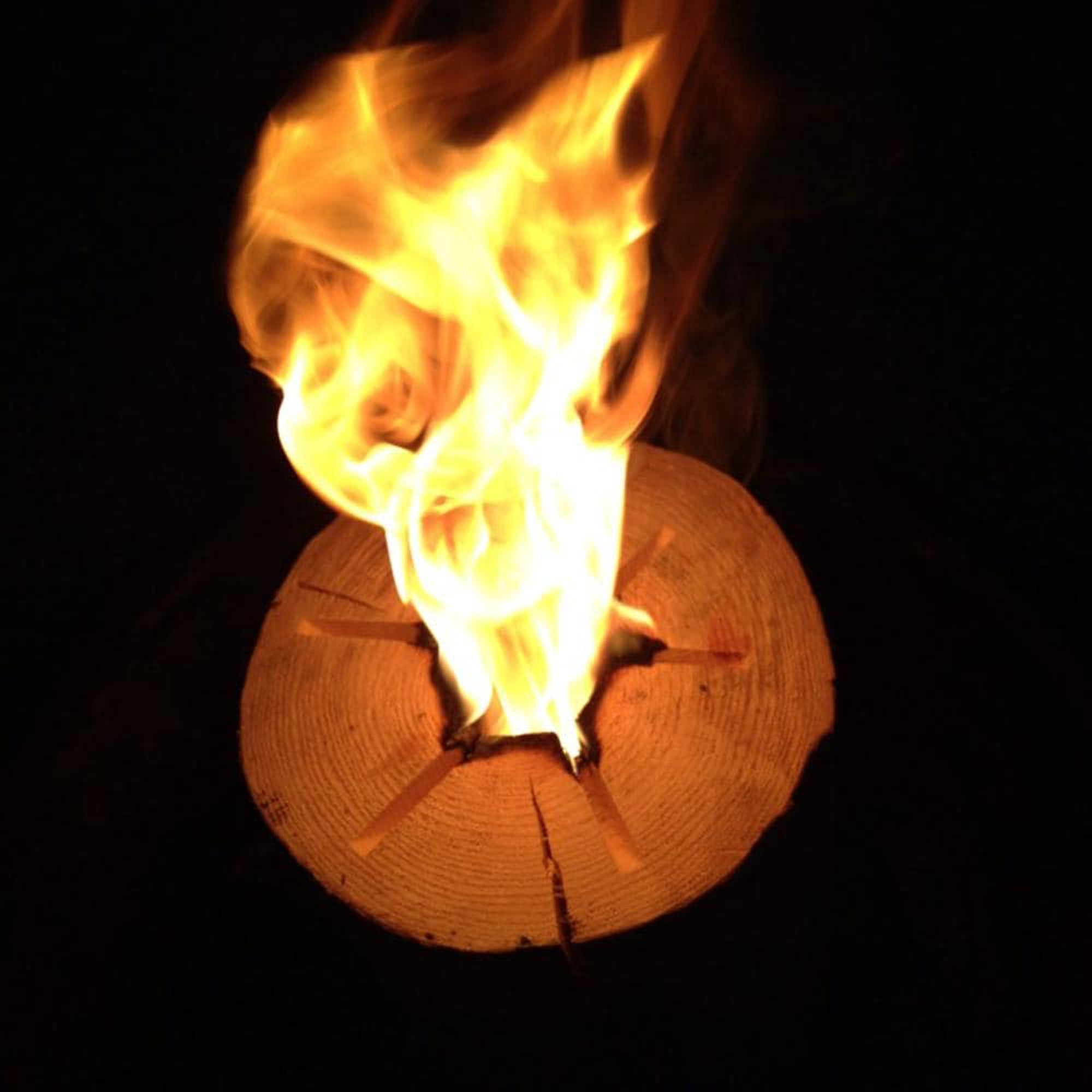 Large 12x8 Inch One Log Campfire Camping Cooking Camp Fire Wood Log (Used)