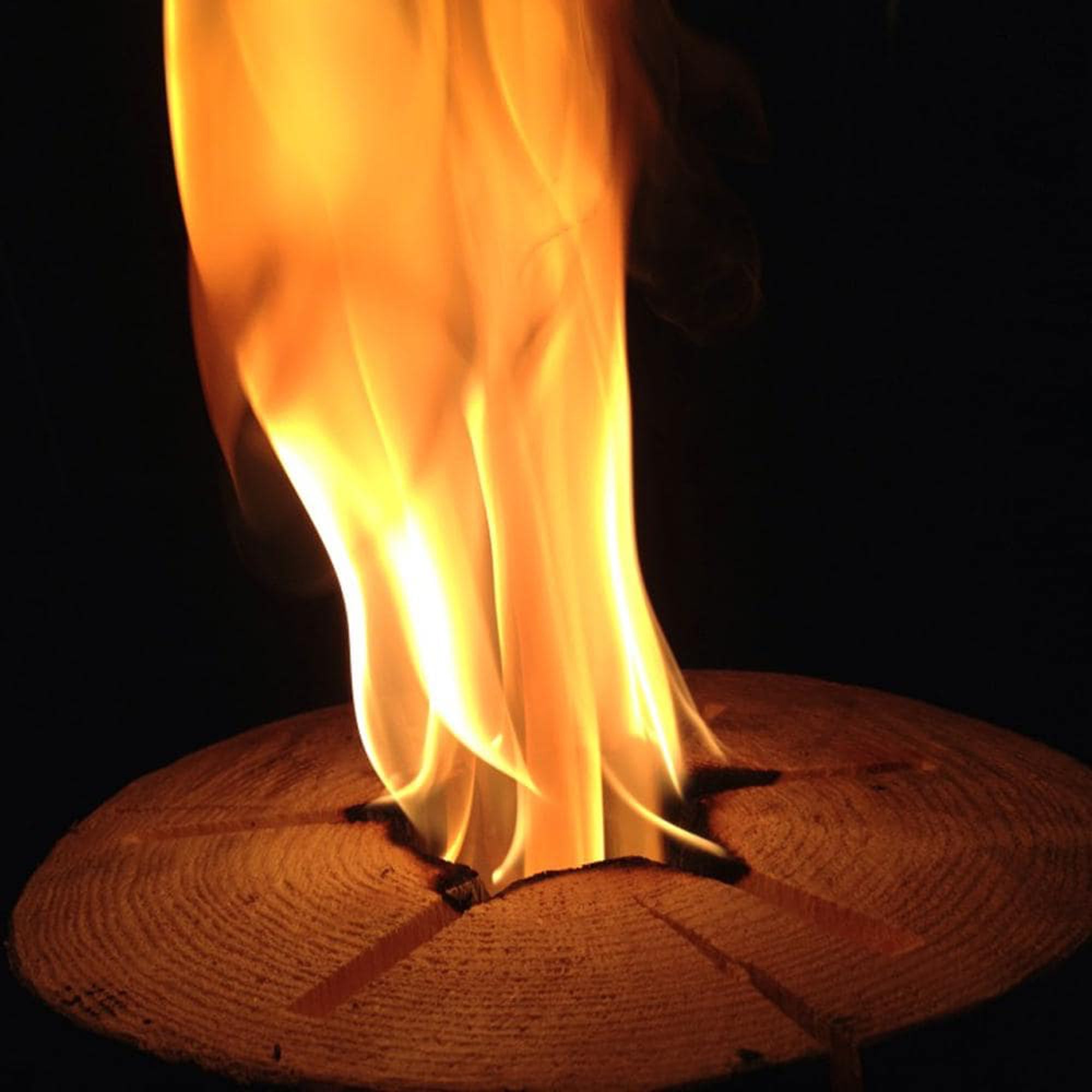 Large 12x8 Inch One Log Campfire Camping Cooking Camp Fire Wood Log (Used)