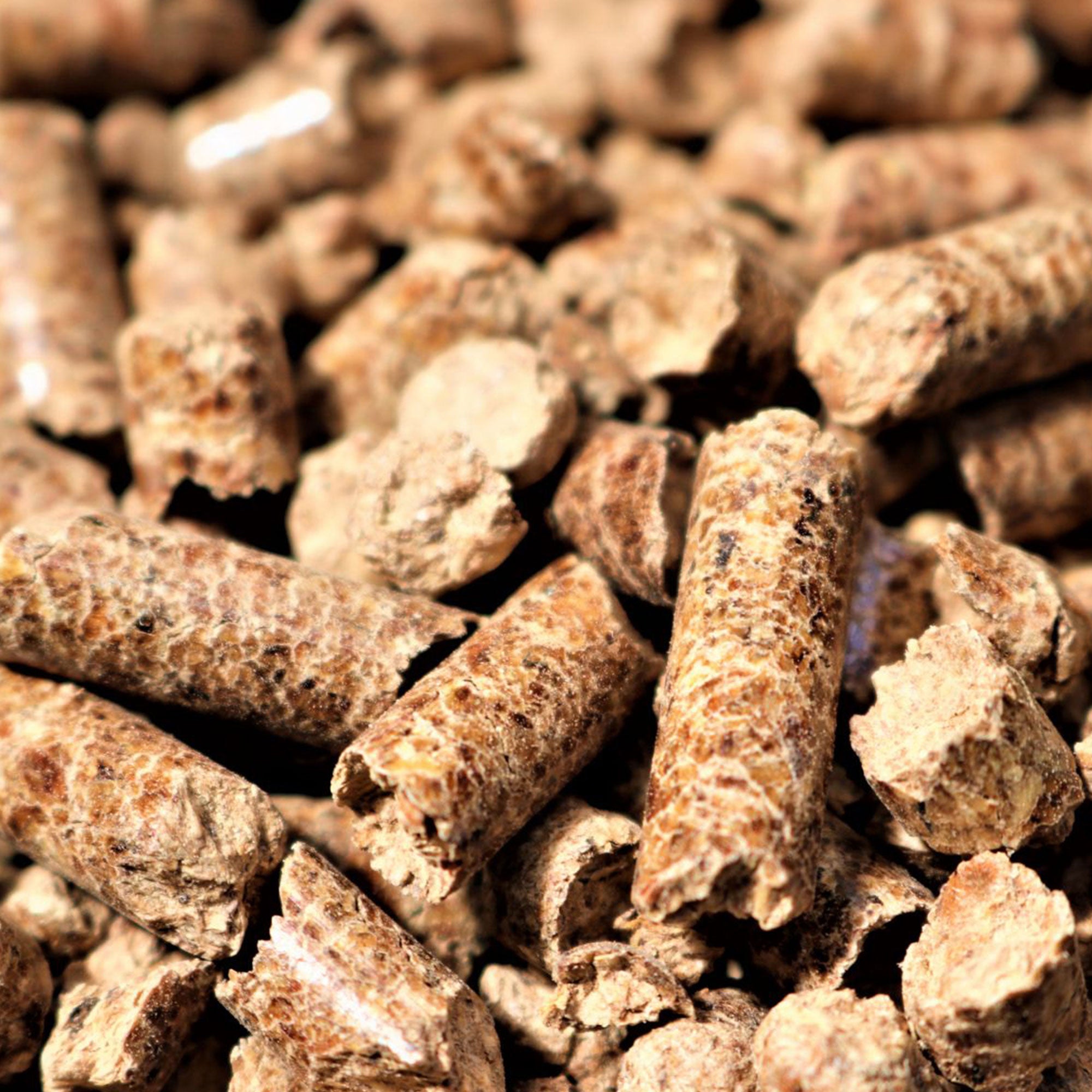 Bear Mountain BBQ Premium All-Natural Hardwood Hickory Smoker Pellets, 20 Pounds (Refurbished) - VMInnovations