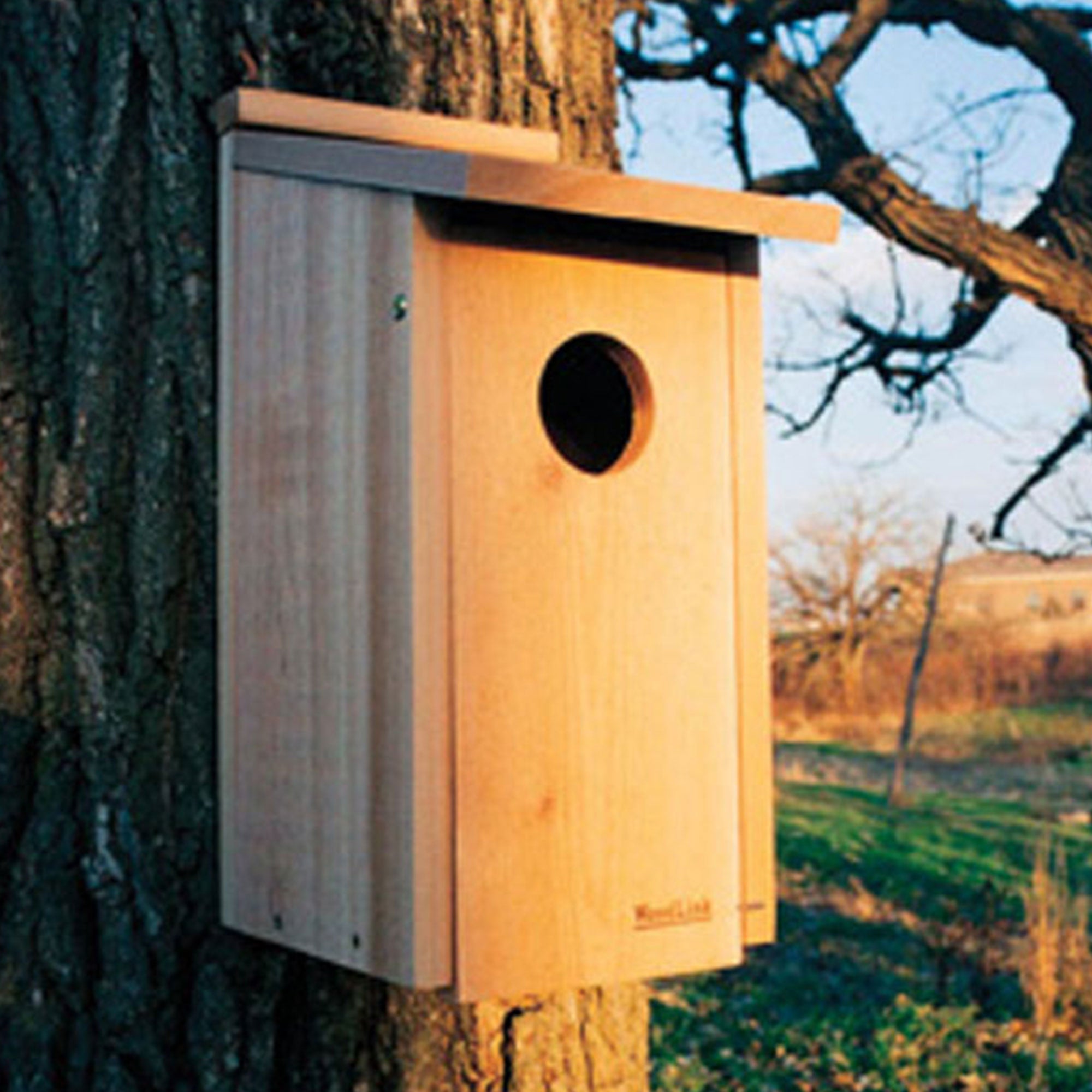 Woodlink Wooden Screech Owl Kestrel Bird House Nesting Box with Wood Shavings - VMInnovations