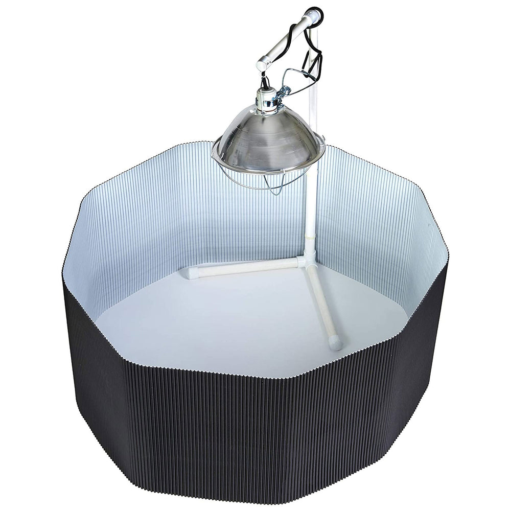 Little Giant Farm Chick/Chicken/Hen/Pullet Brooder Plastic Nesting Box Set(Used) - VMInnovations
