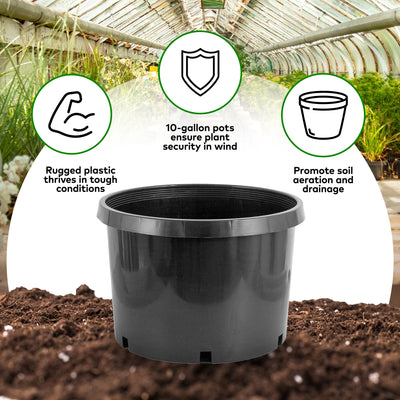 Pro Cal 10 Gallon Premium Nursery Black Plastic Planter Garden Grow Pots, 5 Pack