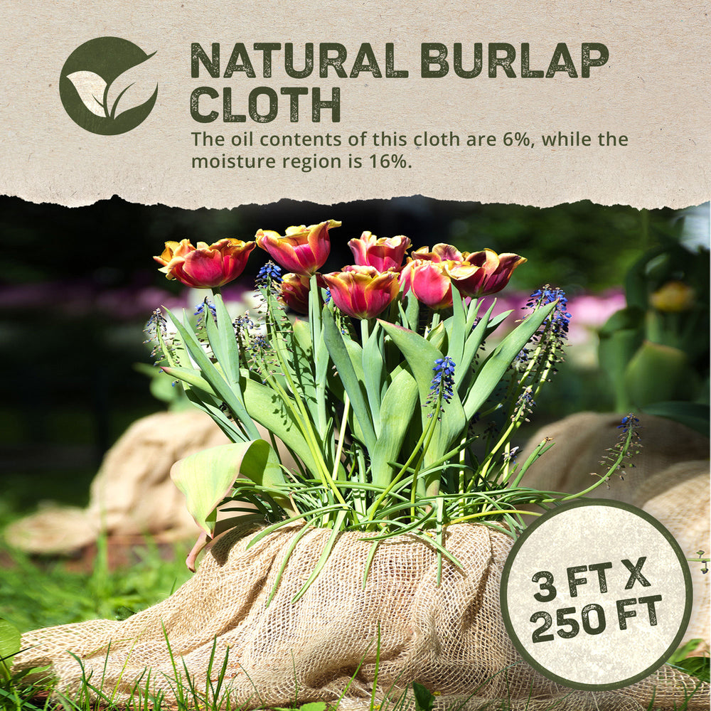 Dewitt 5.5oz 3' x 250' Medium Weave Natural Burlap Cloth Liner for Weed Control - VMInnovations