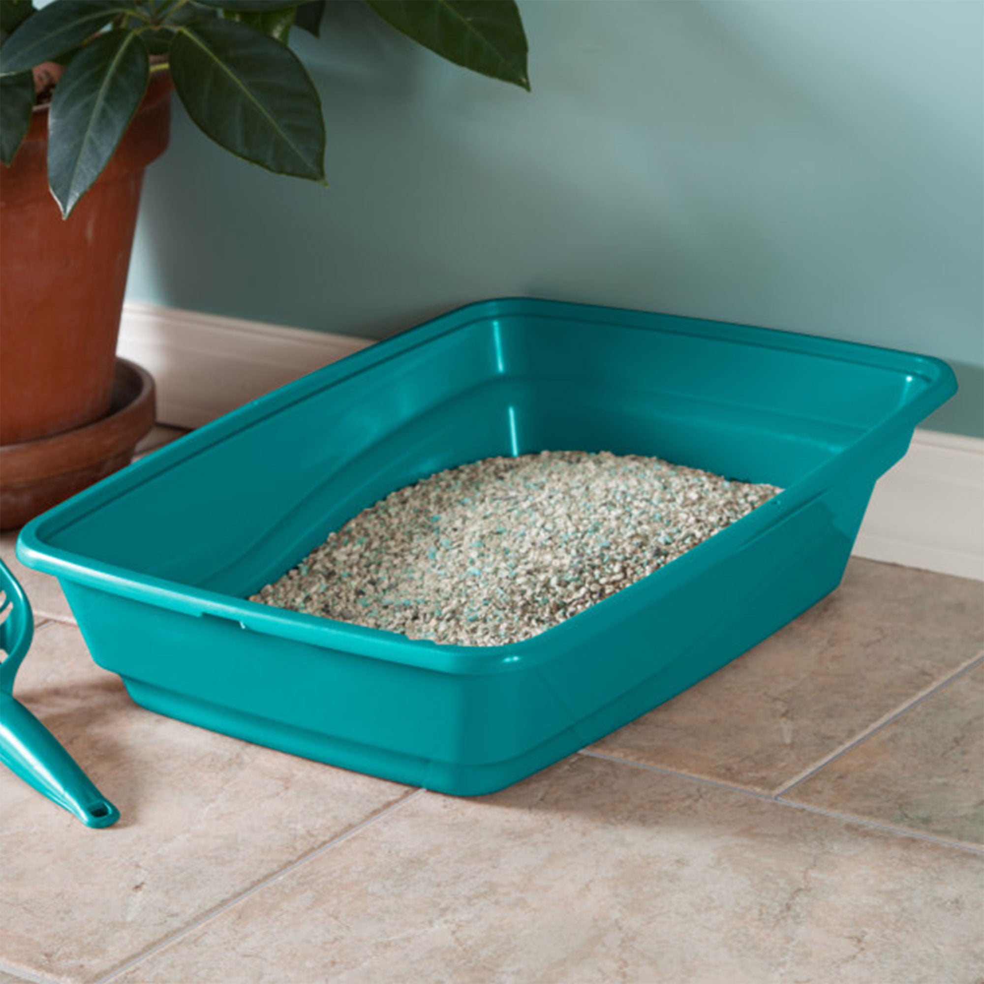 Sterilite 13033W06 Large Frame Cat Litter Pan with Low Entrance, Sea Going - VMInnovations