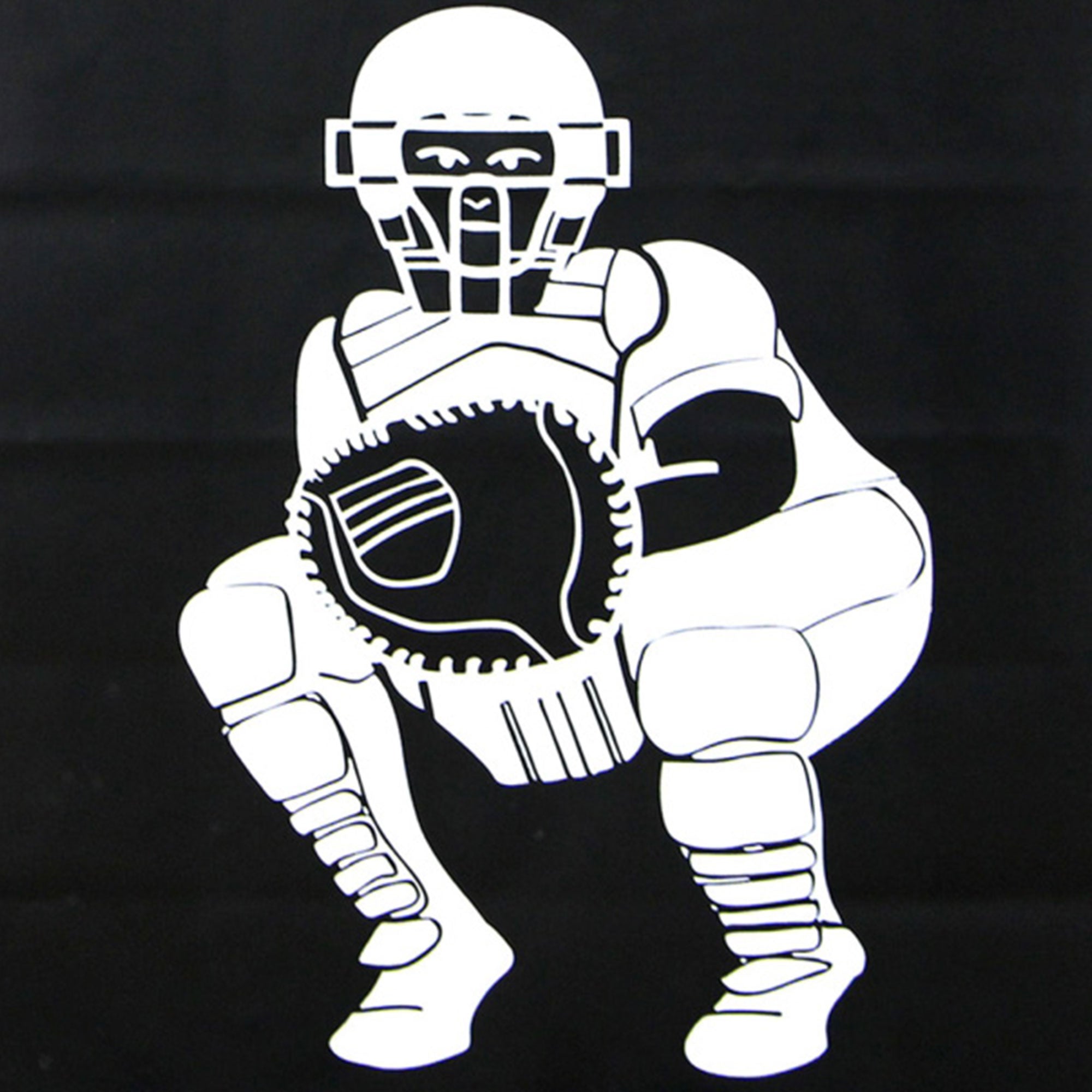 Cimarron 4x6 Foot Baseball Softball Batting Vinyl Backstop Only (Open Box)
