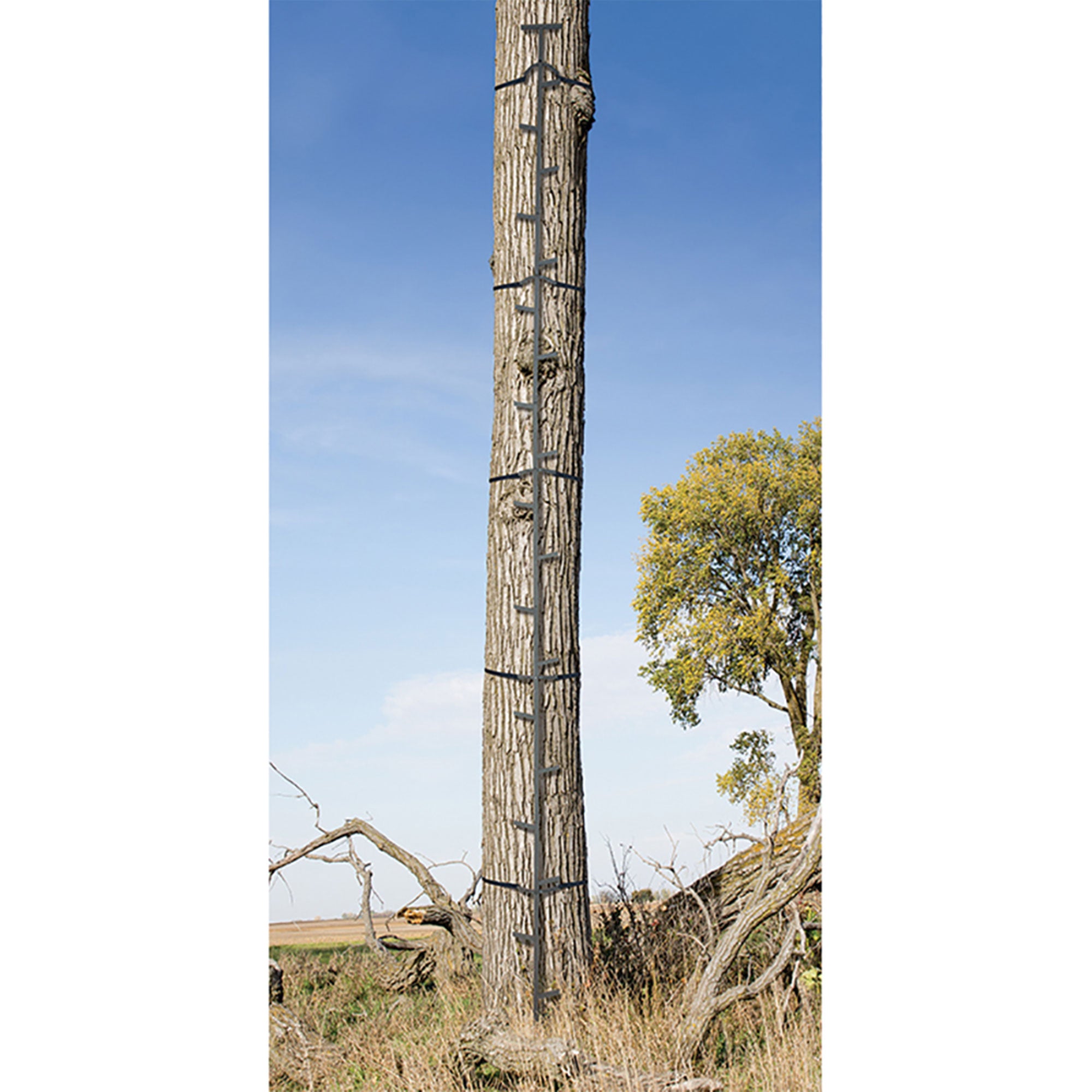 Big Game Captain XC Steel Hang-On Treestand & Quick Stick Climbing Sticks, Black