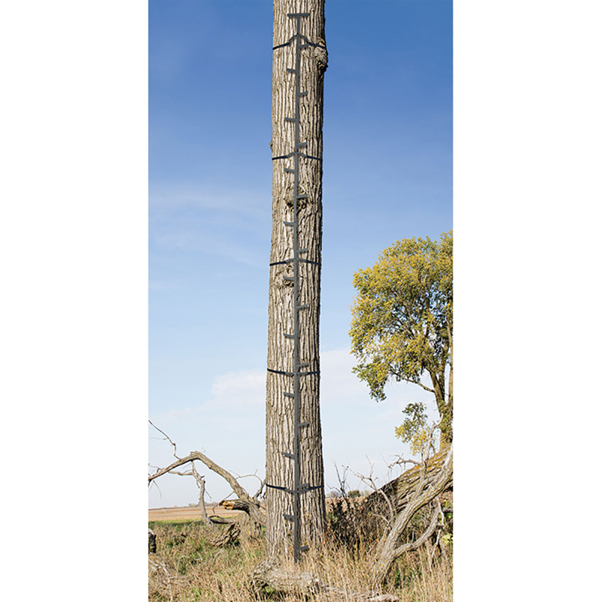 Big Game Captain XC Steel Hang-On Treestand & Quick Stick Climbing Sticks, Black