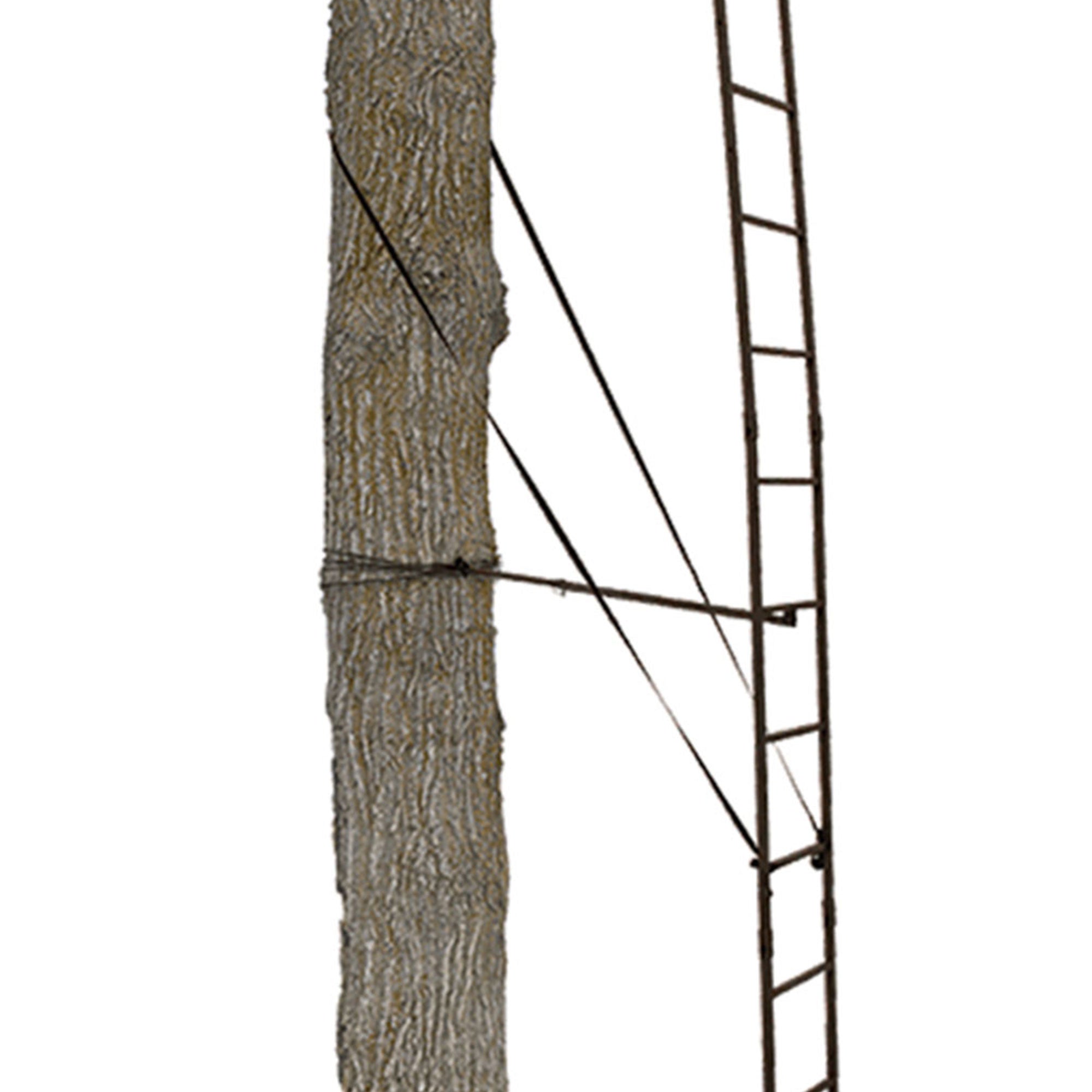 Big Game Warrior DXT Lightweight Portable Hunting Tree Stand Ladder, 17' (Used)
