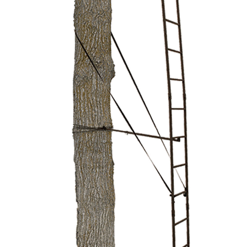 Big Game Warrior Lightweight Portable Hunting Tree Stand Ladder, 17&