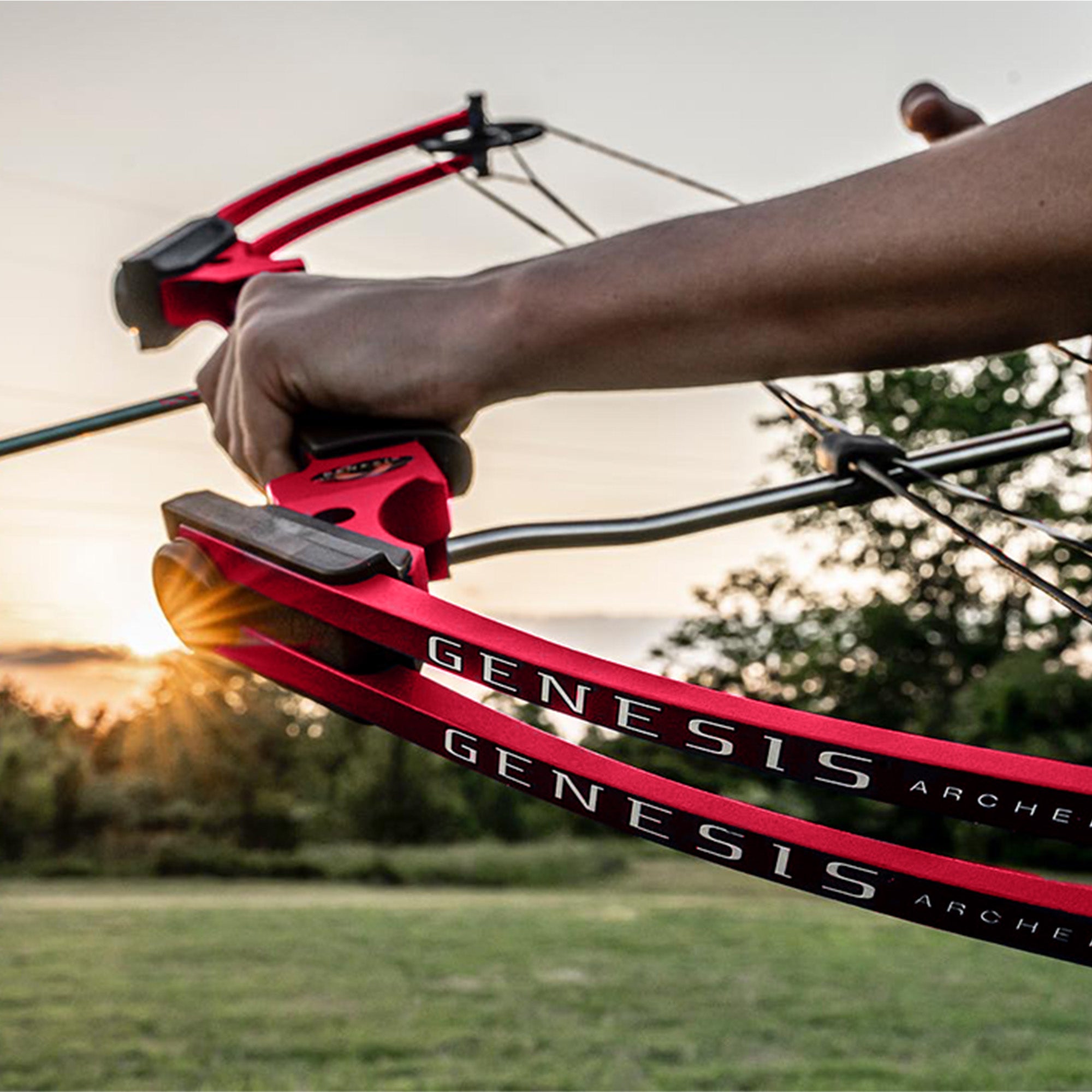 Genesis Original Archery Compound Bow, Adjustable Size, Draw Hand-Left, Red - VMInnovations